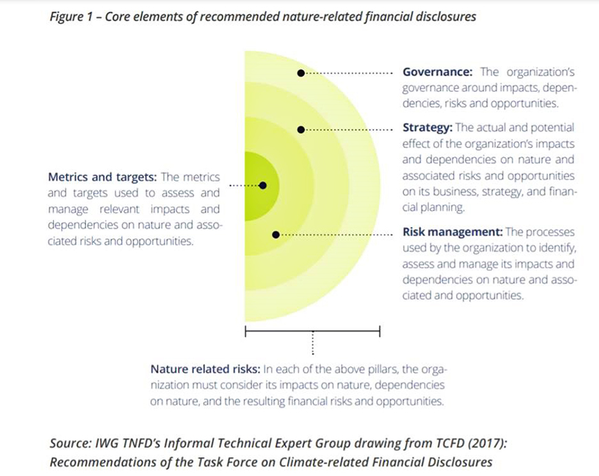 Image showing TNFD framework